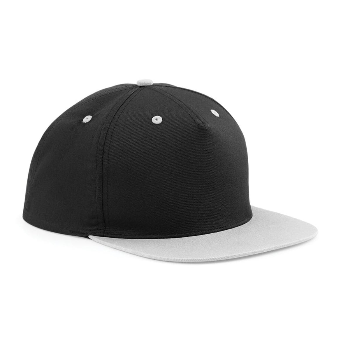 Skull Wings SnapBack