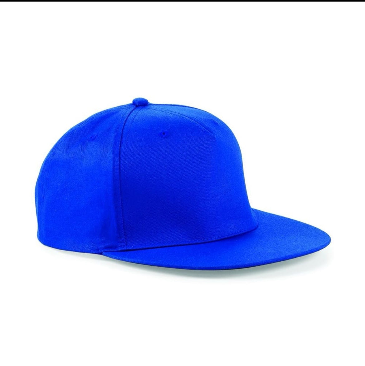 Skull Wings SnapBack