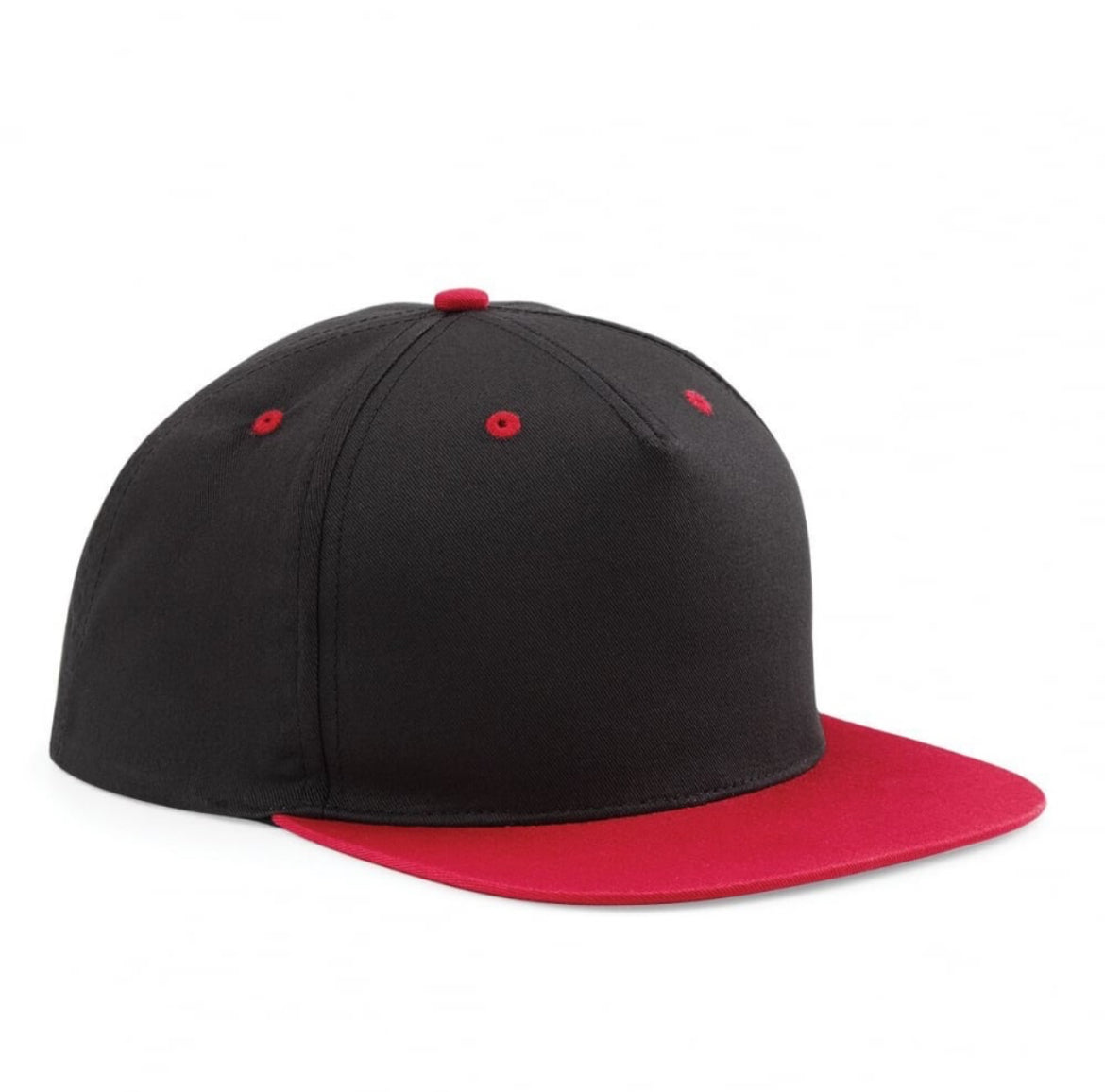Skull Wings SnapBack