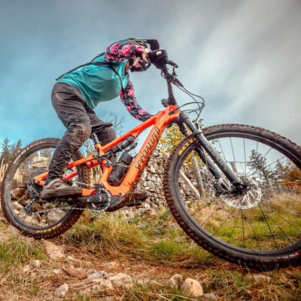 FLAMINGO JERSEY - LONG OR SHORT SLEEVE (PRE ORDER)