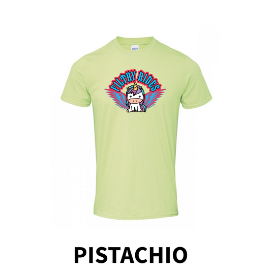 IN STOCK - Unicorn Wings Pistactio T-shirt - Size X-Large