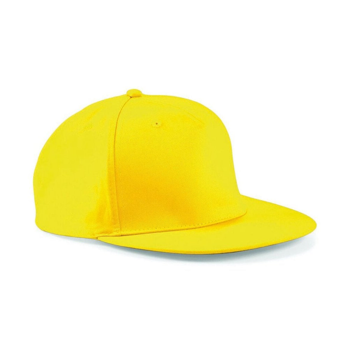 Mountain SnapBack